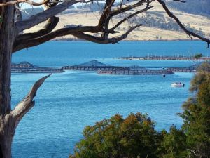 Scientists will examine climate change effects on local conditions.